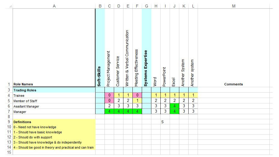 Skill Chart Format