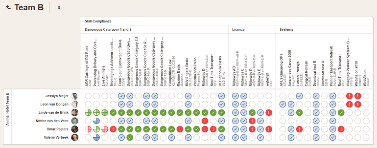 skills matrix