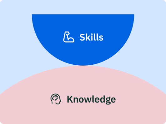 Employee skills assessment: Everything you need to know ️