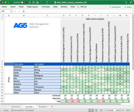 Download A Free IT Security Skills Matrix Template For Excel