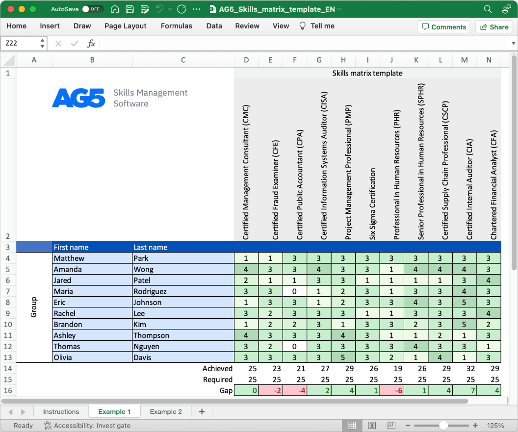 Excel skills matrix