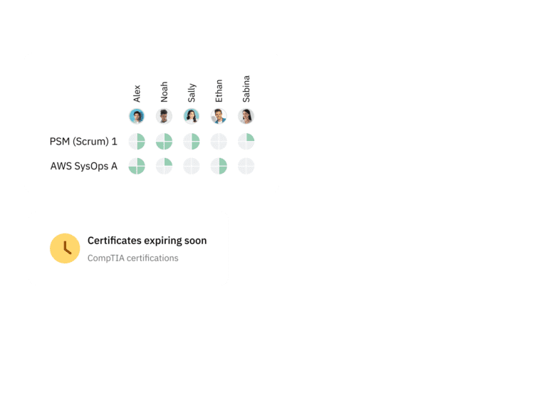 Skills management software for IT and tech industry