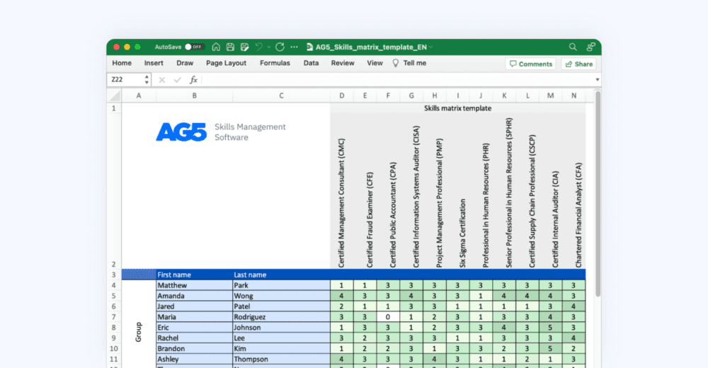 The ultimate guide to Excel Skills Matrices