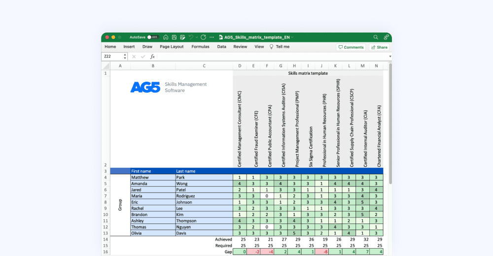 Excel skills matrix